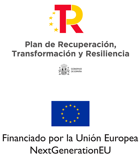 declaracion financiacion kit digital